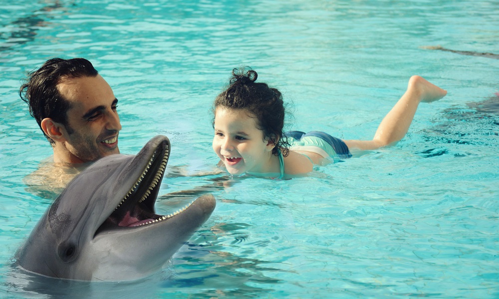 Dubai Dolphinarium